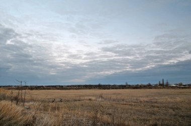 Güzel, bulutlu ve ilkbahar günbatımının erken saatlerinde tarlalarda.