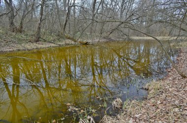 Karların erimesinden sonra ilkbaharın başlarında küçük orman gölü.