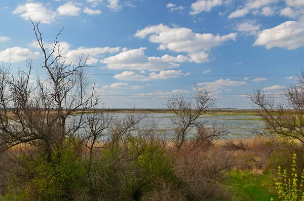Země Jezer Východě Ukrajiny Dněpropetrovsk Region — Stock fotografie