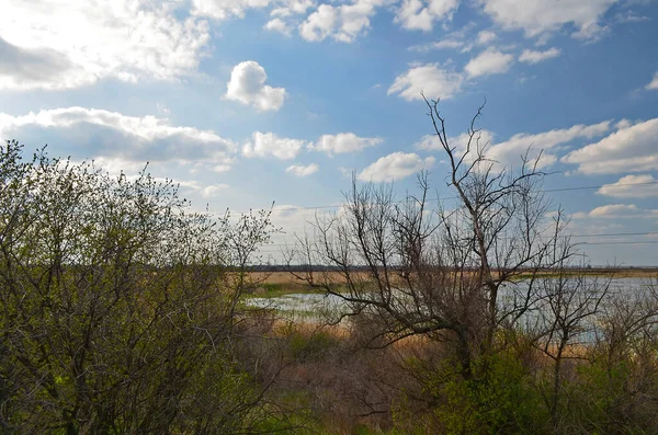 Laghi Campagna Nella Parte Orientale Dell Ucraina Regione Dnipropetrovsk — Foto Stock