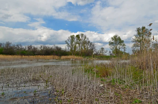 Laghi Campagna Nella Parte Orientale Dell Ucraina Regione Dnipropetrovsk — Foto Stock