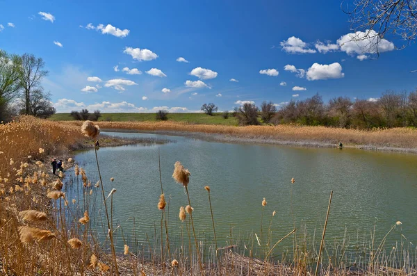 Laghi Campagna Nella Parte Orientale Dell Ucraina Regione Dnipropetrovsk — Foto Stock