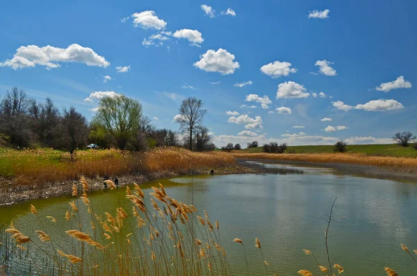 Laghi Campagna Nella Parte Orientale Dell Ucraina Regione Dnipropetrovsk — Foto Stock