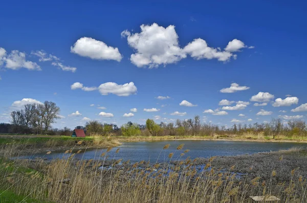 Laghi Campagna Nella Parte Orientale Dell Ucraina Regione Dnipropetrovsk — Foto Stock