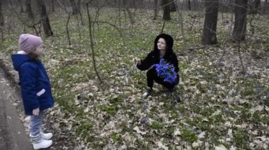 Anne ve kızı ilk mavi bahar çiçeklerini topluyor..