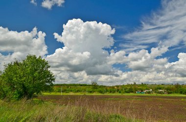 Ekilmiş tarlaların ilkbahar manzaraları.