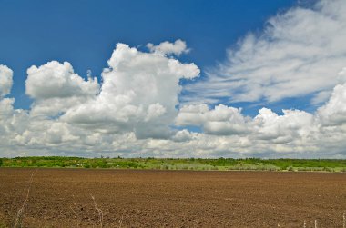 Ekilmiş tarlaların ilkbahar manzaraları.