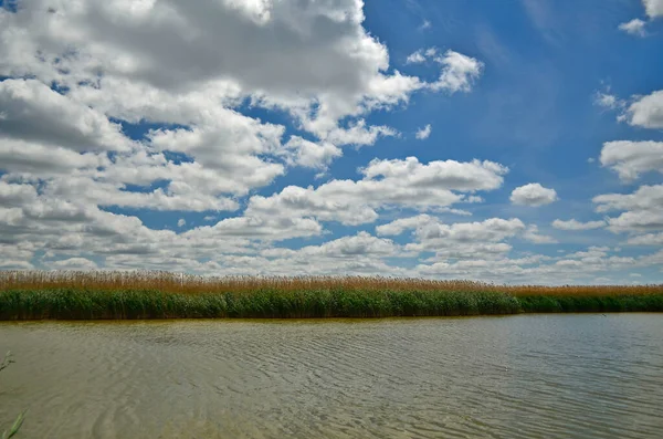 Lago Rural Início Verão Pôr Sol — Fotografia de Stock