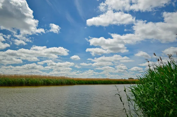 Lago Rural Início Verão Pôr Sol — Fotografia de Stock