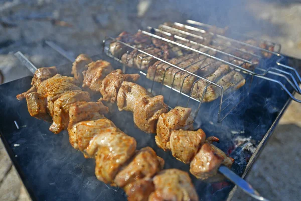 Salsicce Carne Alla Griglia Barbecue Alla Griglia Carboni — Foto Stock