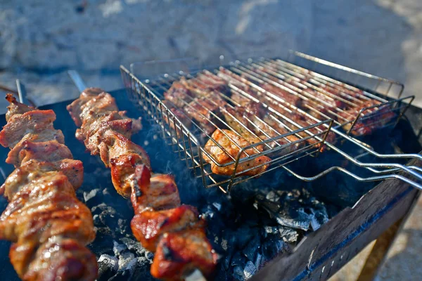 Sosis Panggang Dan Daging Barbekyu Panggang Atas Batu Bara — Stok Foto