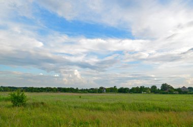 İlkbahar yağmurundan sonra köydeki güzel tarlalar ve çayırlar..