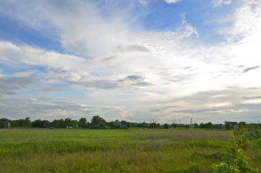 İlkbahar yağmurundan sonra köydeki güzel tarlalar ve çayırlar..