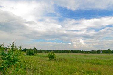 İlkbahar yağmurundan sonra köydeki güzel tarlalar ve çayırlar..