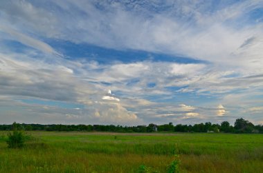 İlkbahar yağmurundan sonra köydeki güzel tarlalar ve çayırlar..