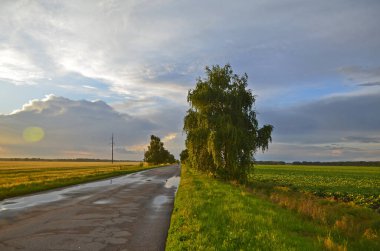 İlkbahar yağmurundan sonra köydeki güzel tarlalar ve çayırlar..