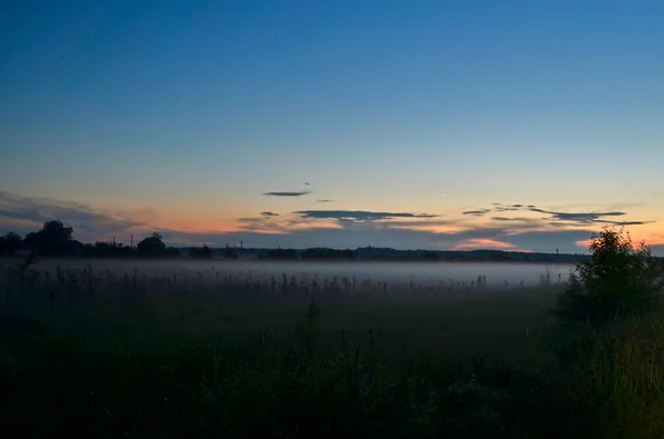 Nebel Auf Einem Frühlingsfeld Späten Abend — Stockfoto
