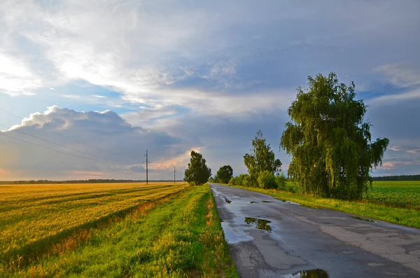 Piękne Krajobrazy Pól Łąk Wsi Wiosennym Deszczu — Zdjęcie stockowe