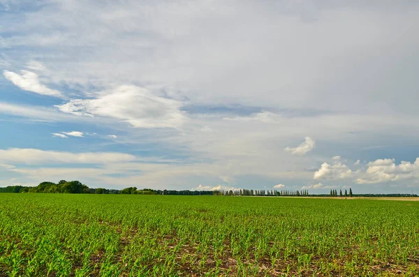 Beautiful Landscapes Fields Meadows Village Spring Shower — Stock Photo, Image