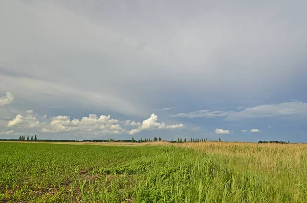 Belas Paisagens Campos Prados Aldeia Depois Chuveiro Primavera — Fotografia de Stock