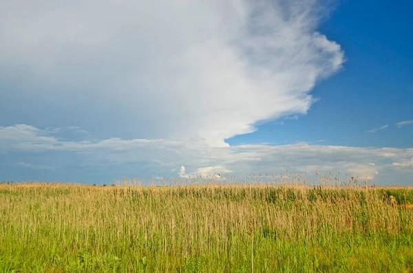 Belas Paisagens Campos Prados Aldeia Depois Chuveiro Primavera — Fotografia de Stock