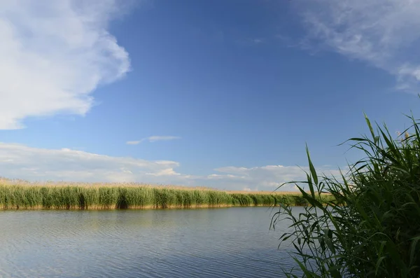 田の釣りや灌漑のための農村湖 — ストック写真