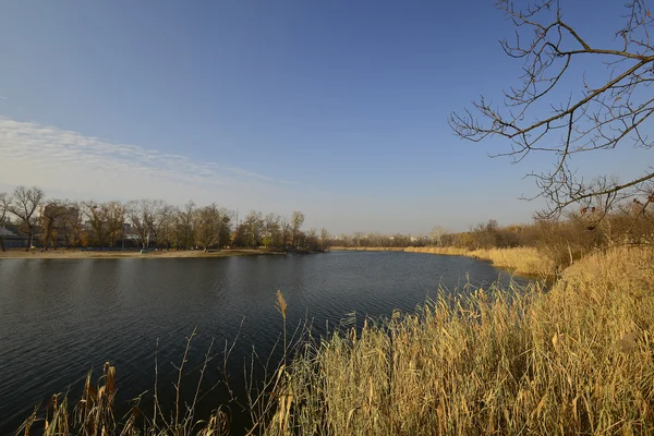 Novomoskovsk — Stok fotoğraf