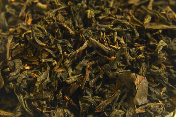 Odmiany herbaty — Zdjęcie stockowe