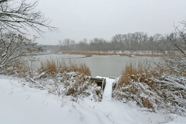 Karla kaplı bir ormanda kar yağışı sırasında güzel bir manzara. Ukrayna 'nın doğusundaki Novomoskovsk şehri..