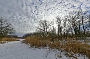 Buz gibi bir nehir boyunca kış yürüyüşü, nehir kıyılarını ve manzaraların kış masalı. Doğu Ukrayna, Samara Nehri.
