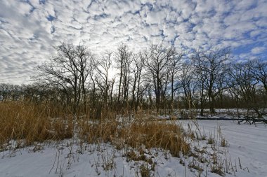 Buz gibi bir nehir boyunca kış yürüyüşü, nehir kıyılarını ve manzaraların kış masalı. Doğu Ukrayna, Samara Nehri.