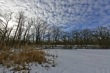 Buz gibi bir nehir boyunca kış yürüyüşü, nehir kıyılarını ve manzaraların kış masalı. Doğu Ukrayna, Samara Nehri.
