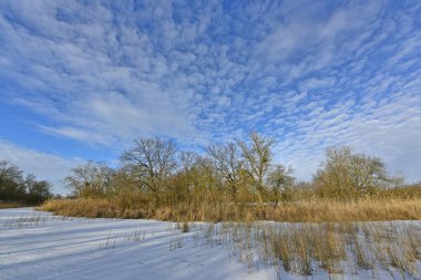 Buz gibi bir nehir boyunca kış yürüyüşü, nehir kıyılarını ve manzaraların kış masalı. Doğu Ukrayna, Samara Nehri.