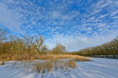 Buz gibi bir nehir boyunca kış yürüyüşü, nehir kıyılarını ve manzaraların kış masalı. Doğu Ukrayna, Samara Nehri.