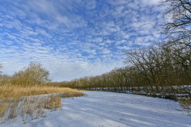Buz gibi bir nehir boyunca kış yürüyüşü, nehir kıyılarını ve manzaraların kış masalı. Doğu Ukrayna, Samara Nehri.