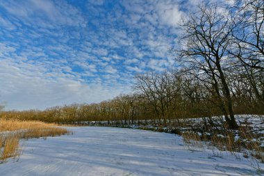 Buz gibi bir nehir boyunca kış yürüyüşü, nehir kıyılarını ve manzaraların kış masalı. Doğu Ukrayna, Samara Nehri.