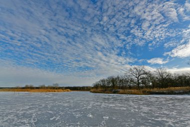 Buz gibi bir nehir boyunca kış yürüyüşü, nehir kıyılarını ve manzaraların kış masalı. Doğu Ukrayna, Samara Nehri.