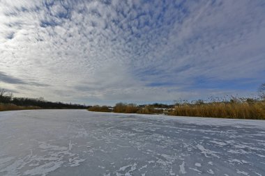 Buz gibi bir nehir boyunca kış yürüyüşü, nehir kıyılarını ve manzaraların kış masalı. Doğu Ukrayna, Samara Nehri.