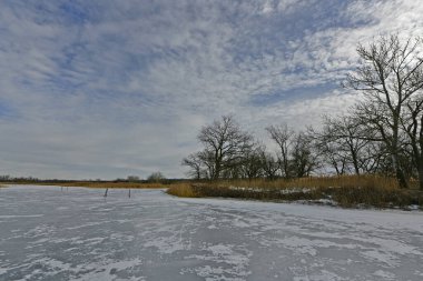 Buz gibi bir nehir boyunca kış yürüyüşü, nehir kıyılarını ve manzaraların kış masalı. Doğu Ukrayna, Samara Nehri.