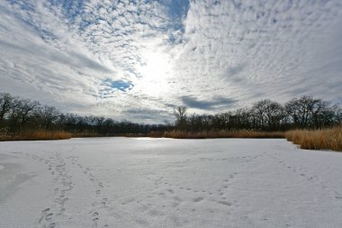 Buz gibi bir nehir boyunca kış yürüyüşü, nehir kıyılarını ve manzaraların kış masalı. Doğu Ukrayna, Samara Nehri.