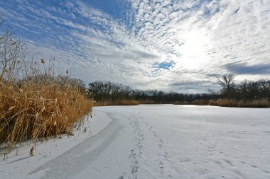 Buz gibi bir nehir boyunca kış yürüyüşü, nehir kıyılarını ve manzaraların kış masalı. Doğu Ukrayna, Samara Nehri.