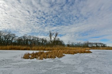 Buz gibi bir nehir boyunca kış yürüyüşü, nehir kıyılarını ve manzaraların kış masalı. Doğu Ukrayna, Samara Nehri.