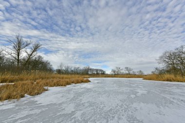 Buz gibi bir nehir boyunca kış yürüyüşü, nehir kıyılarını ve manzaraların kış masalı. Doğu Ukrayna, Samara Nehri.