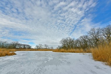 Buz gibi bir nehir boyunca kış yürüyüşü, nehir kıyılarını ve manzaraların kış masalı. Doğu Ukrayna, Samara Nehri.
