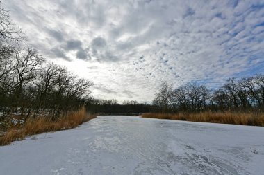 Buz gibi bir nehir boyunca kış yürüyüşü, nehir kıyılarını ve manzaraların kış masalı. Doğu Ukrayna, Samara Nehri.