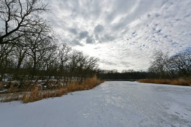 Buz gibi bir nehir boyunca kış yürüyüşü, nehir kıyılarını ve manzaraların kış masalı. Doğu Ukrayna, Samara Nehri.
