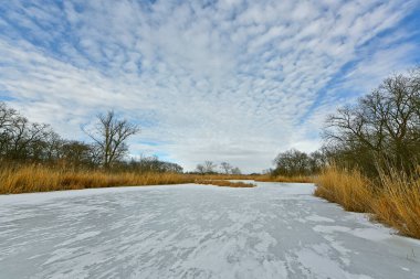 Buz gibi bir nehir boyunca kış yürüyüşü, nehir kıyılarını ve manzaraların kış masalı. Doğu Ukrayna, Samara Nehri.