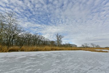 Buz gibi bir nehir boyunca kış yürüyüşü, nehir kıyılarını ve manzaraların kış masalı. Doğu Ukrayna, Samara Nehri.