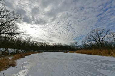 Buz gibi bir nehir boyunca kış yürüyüşü, nehir kıyılarını ve manzaraların kış masalı. Doğu Ukrayna, Samara Nehri.