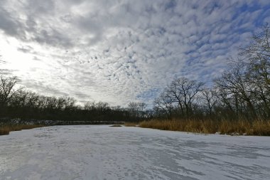 Buz gibi bir nehir boyunca kış yürüyüşü, nehir kıyılarını ve manzaraların kış masalı. Doğu Ukrayna, Samara Nehri.